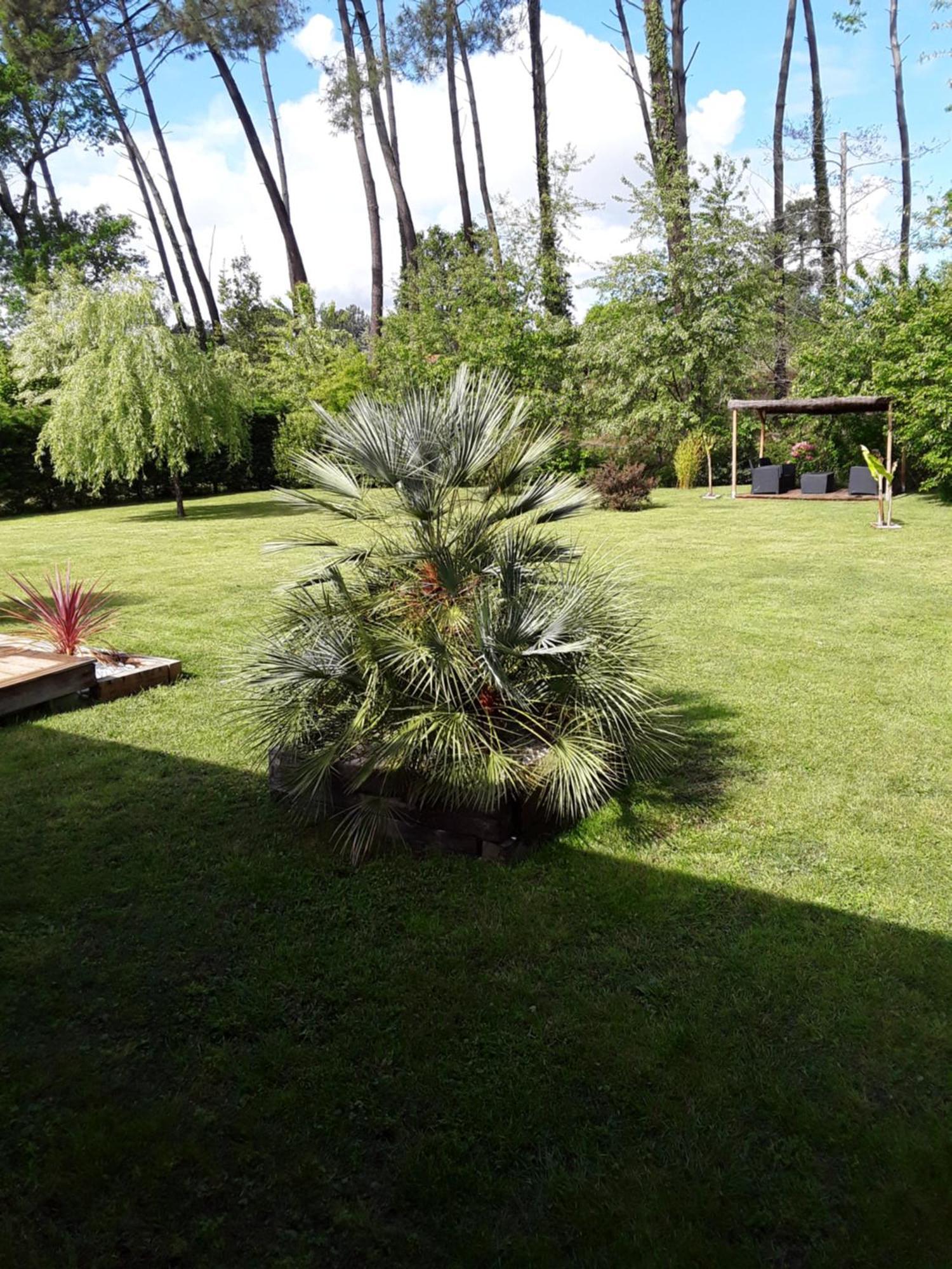 Chambre D'Hotes Les Iris A Mios Sur Le Bassin D'Arcachon 外观 照片